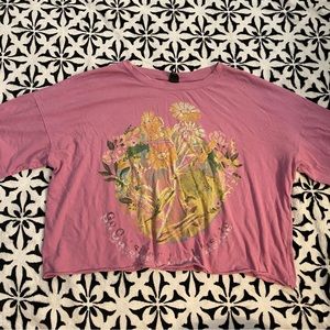 🌈 Wild Fable Pink Crop Top